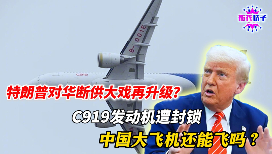T1战胜DRX,摇钱树心水免费论坛下下,精准解释落实及其象征意义_免费版V13.28