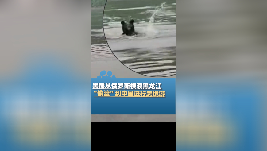 4949新澳门最快开奖结果,你要撑住马上就可以到中国抢救了,公开决策资料解释落实_极速版V7.18