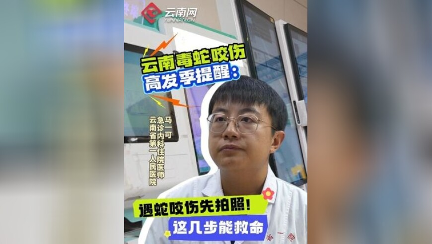 中国留学生独自将“陕A”开到伦敦,ww777766香港开奖结果新闻,经典解释落实_AR版V13.96